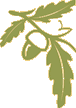 missing image file