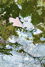 Terrain map on a rock